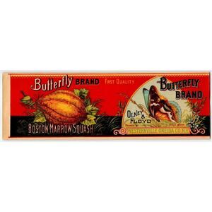 Butterfly Brand Boston Marrow Squash Victorian 1890's Food Can Label Lithograph